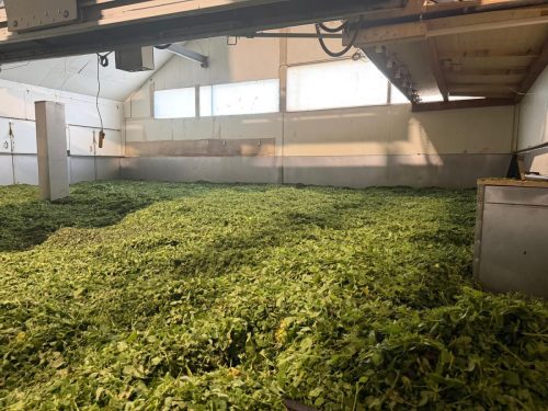 17. Juni 2026 | Swiss Tea | Attiswil