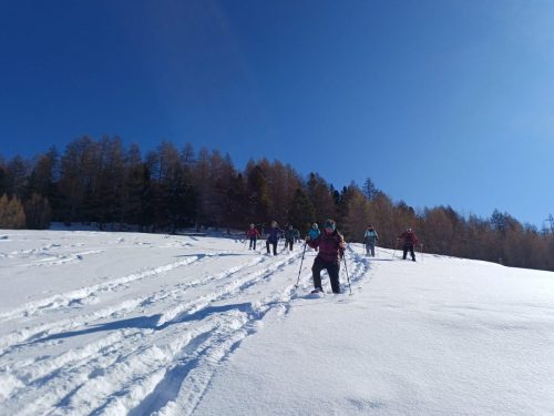 WhatsApp-Image-2026-02-13-at-y