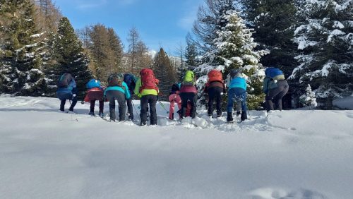 WhatsApp-Imxage-2026-02-13-at-10.34.43